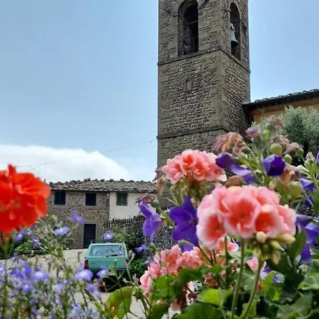 Casa Sonia Bed & Breakfast Avaglio